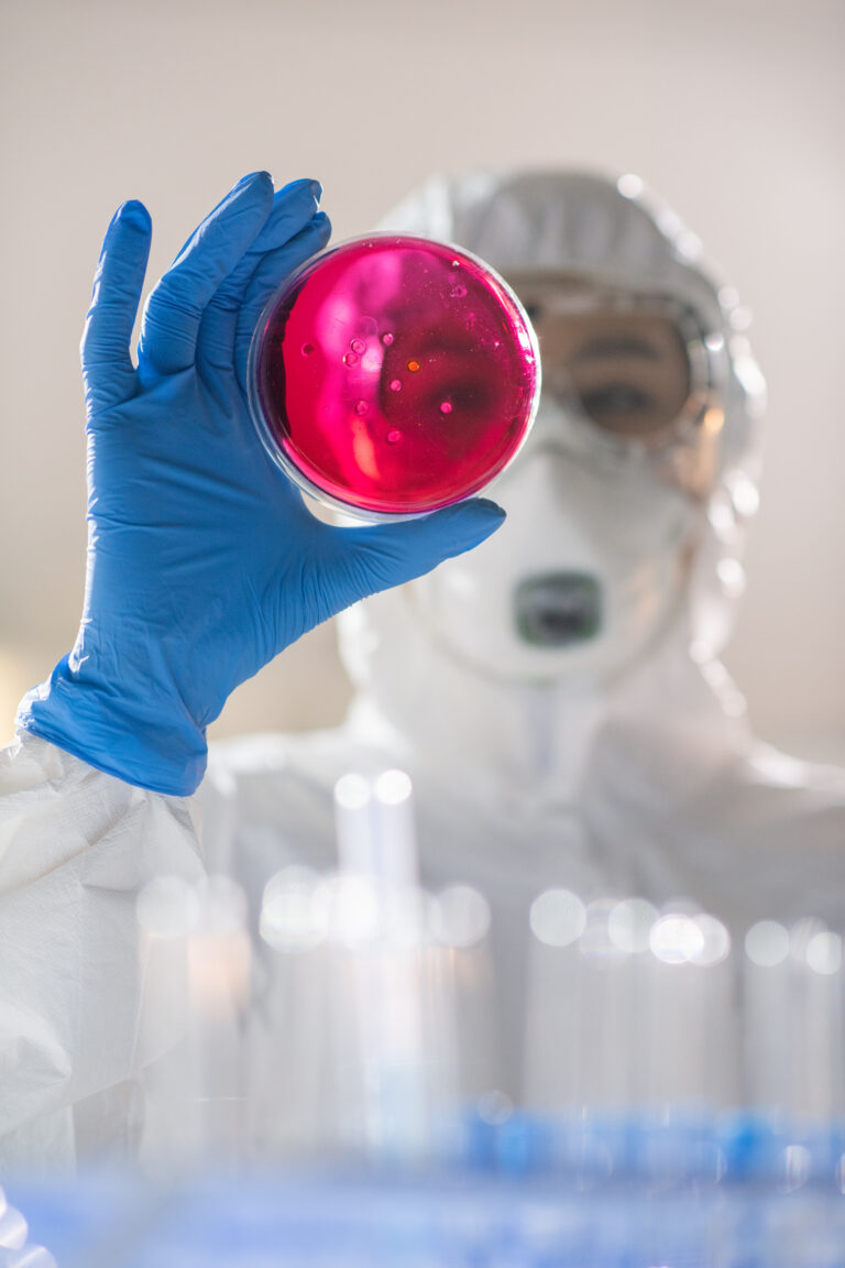 Examining infectious substance in petri dish