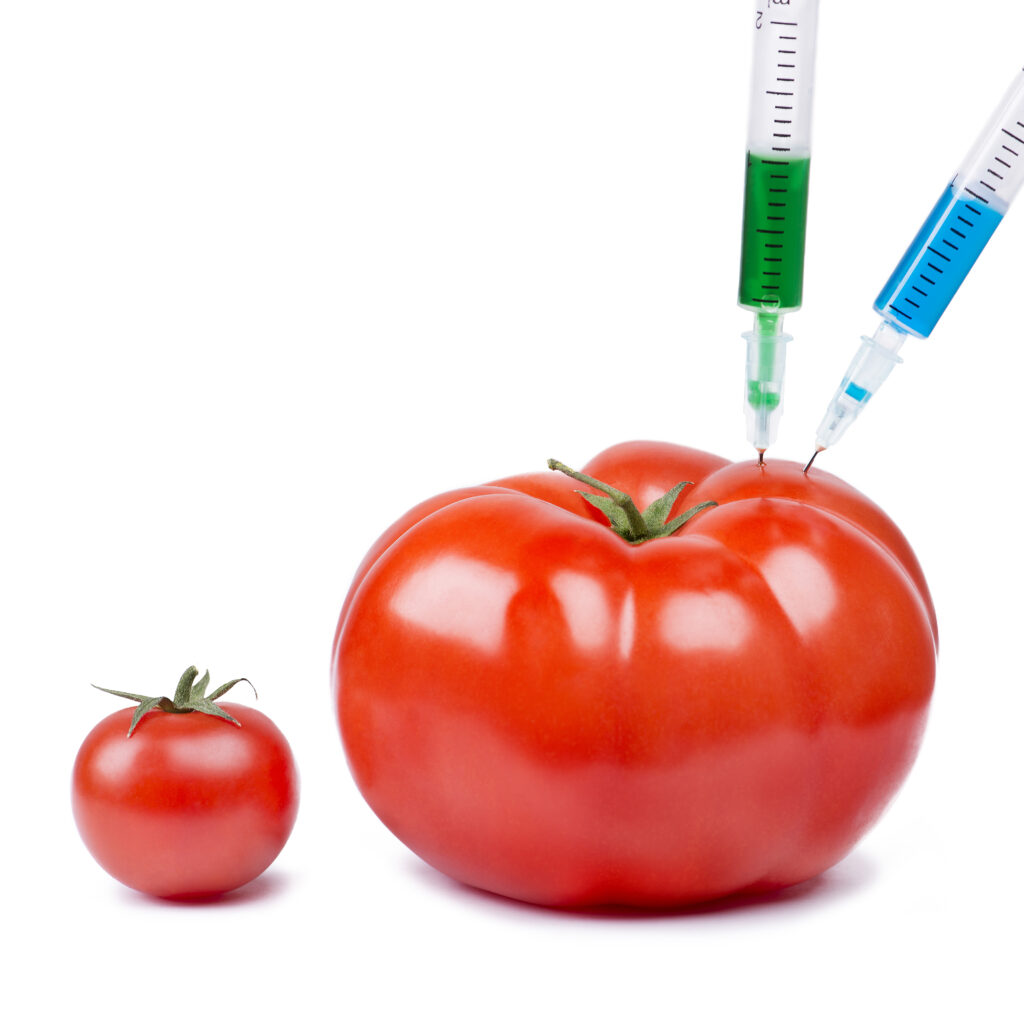 Genetically modified organism