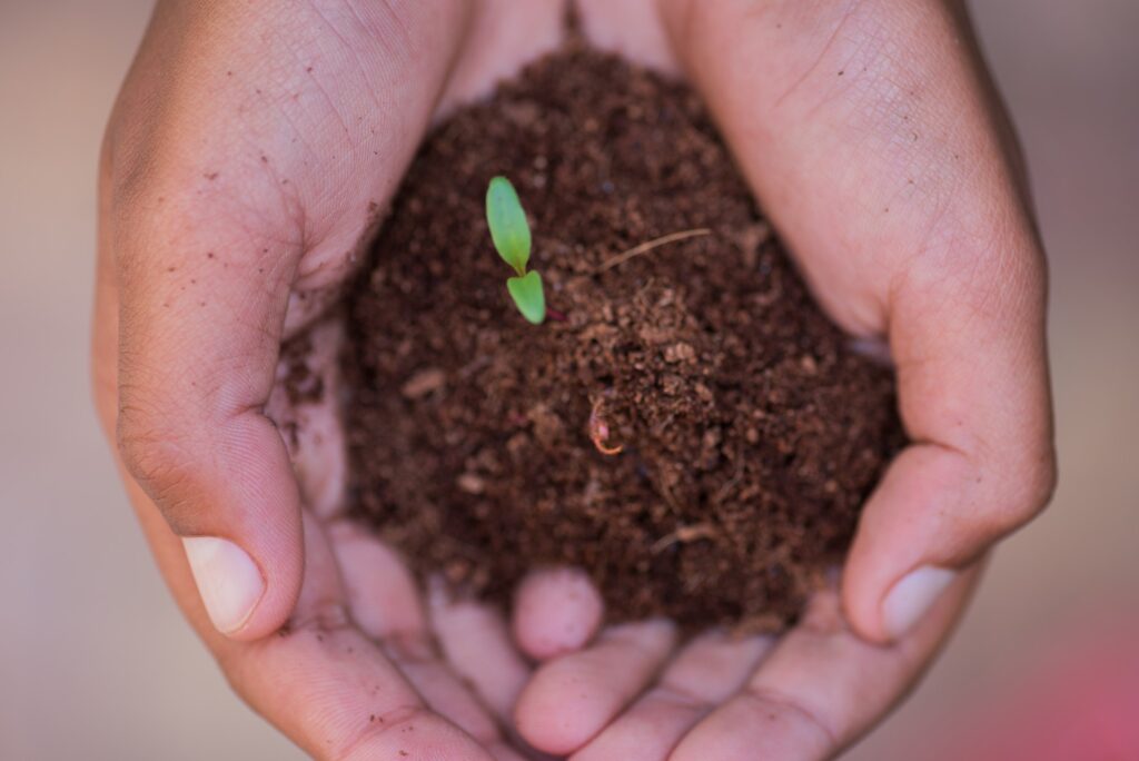 Close up shot of hand with soil with plant protruding from soil