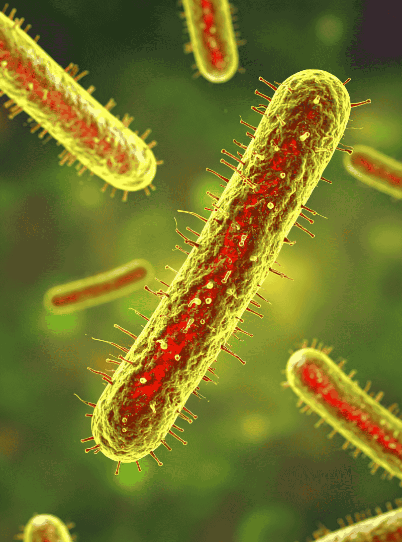 Legionella & Waterborne Pathogen Risk Assessment